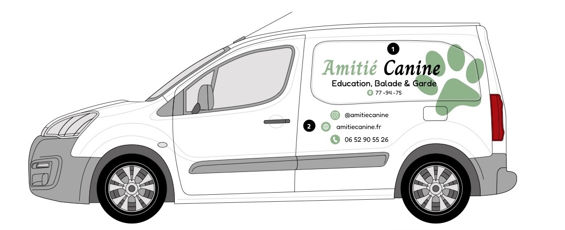 Chien en promenade — Amitié Canine